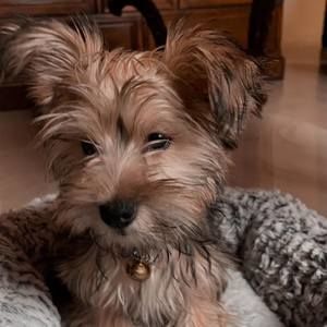 Meet your Posher, Lourdes